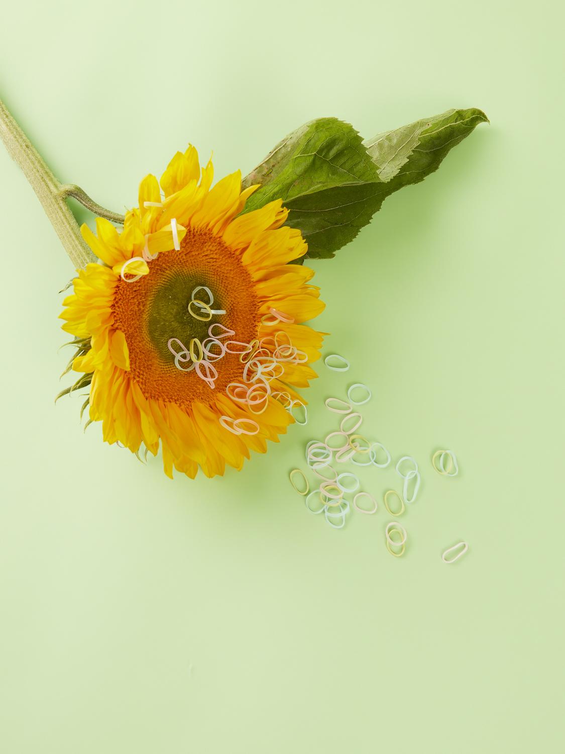 NKFACC-TEVIRA Other Accessories - Pastel Lavender